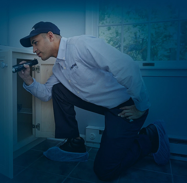 FSMMAG's tweet photo. NPMA Calls on Businesses to Close Gaps in Rodent Prevention https://t.co/aSwGgAn1L3 https://t.co/fQvPnlzaPq