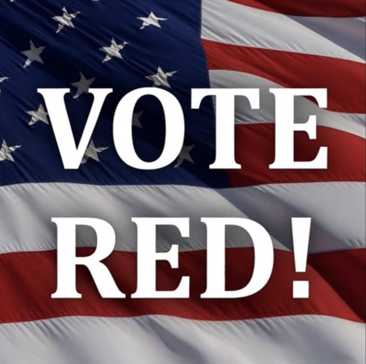 SonjaKeene2's tweet photo. Today, I voted straight RED across the ballot in Virginia.

I'm not a stupid whiney baby who cries that the GOP has failed them.

I'm an AMERICAN PATRIOT who knows we MUST NEVER LET THE DEMOCRAT PARTY HAVE CONTROL AGAIN! NEVER! 

Put your feelings aside and do what is right to save America. 

VOTE RED 🔴 

God bless America 🇺🇸