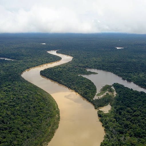 stagepopbr's tweet photo. 🚨 URGENTE! A Justiça Eleitoral do Amazonas NEGOU o pedido de transporte fluvial gratuito para indígenas de 43 aldeias do Vale do Javari durante o segundo turno das eleições.

A solicitação foi apresentada pela União dos Povos Indígenas do Vale do Javari (Univaja) para garantir o deslocamento dos eleitores até as urnas. A juíza responsável alegou falta de tempo hábil para cumprir os trâmites legais, além de dificuldades orçamentárias e logísticas.