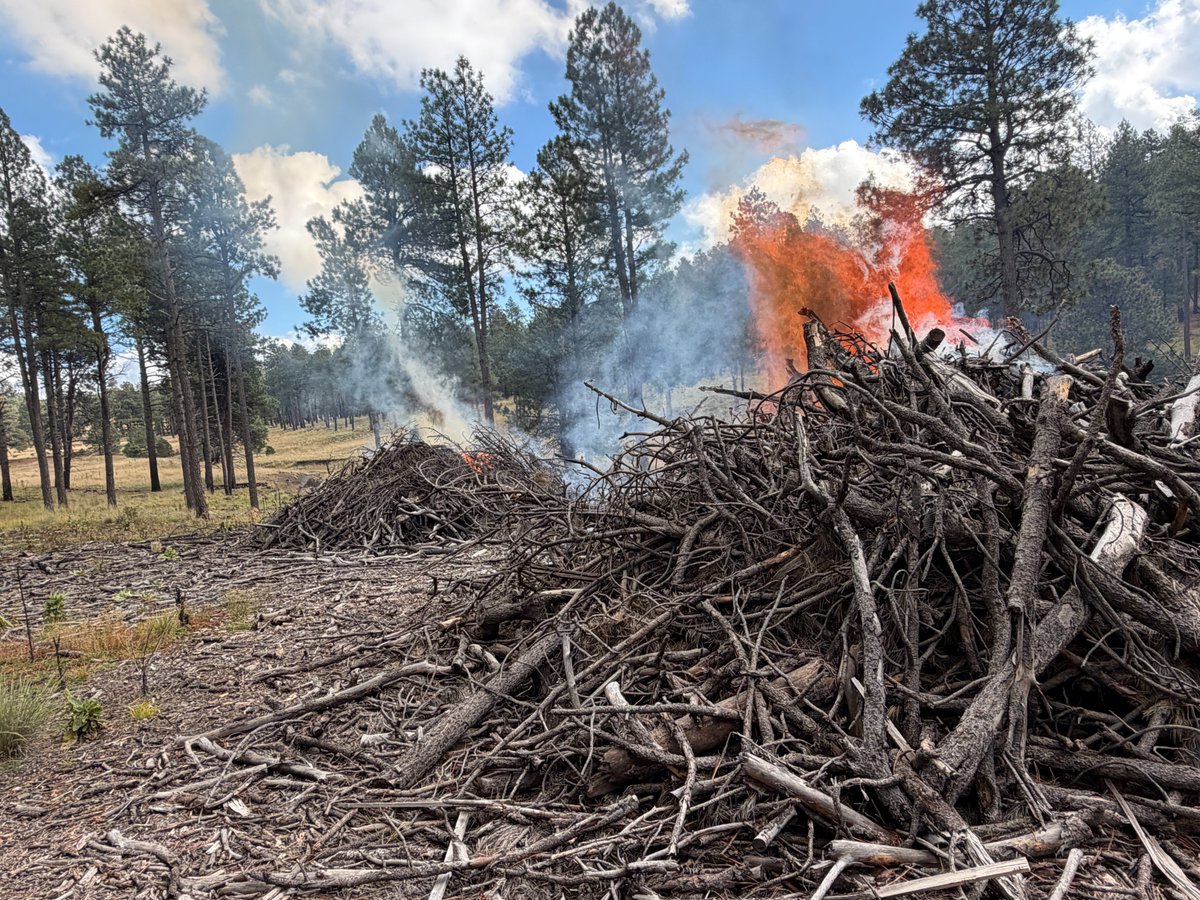 azstateforestry's tweet photo. All ignitions on the #WolfeTillmanRX are finished. 

Resources will monitor the project area over the next few days. https://t.co/iY6GU7cSzZ