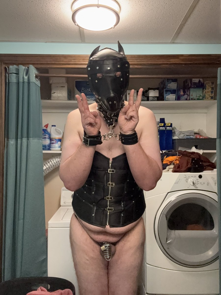 AlexMichaud11's tweet photo. @Sissyexposes @Sissy https://t.co/EtbTWyZ1w9