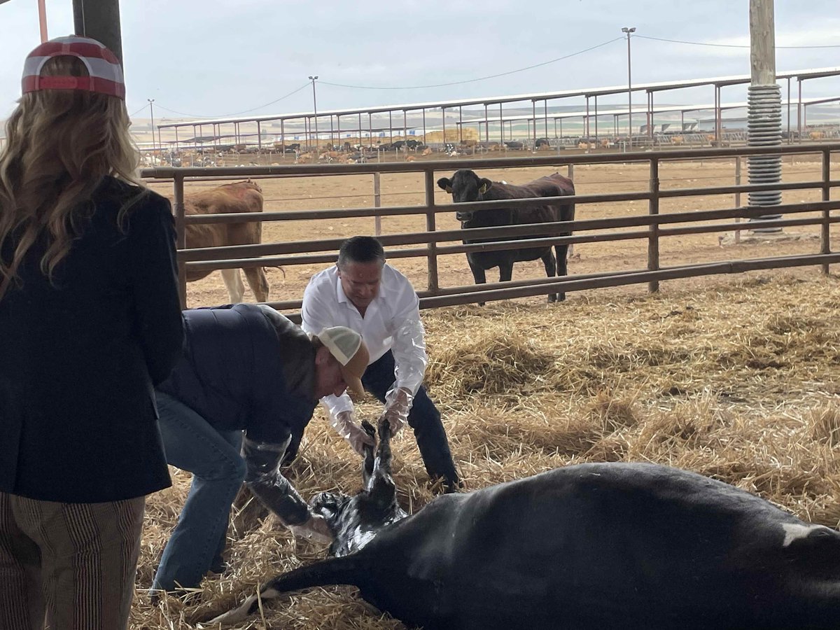 savefarming's tweet photo. Save Family Farming is grateful for the state leaders who are taking the time to visit farms, listen directly to farmers, and learn more about the innovative and sophisticated work happening across Washington agriculture.

#WALeg #SaveFamilyFarming #AgViability #Advocacy #PNW https://t.co/OyGCCbMkIV