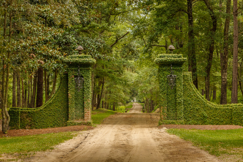 Discover_SC's tweet photo. South Carolina inns and hotels offer a wide array of creature comforts—sometimes of the otherworldly kind. https://t.co/pLkSjrtURG #DiscoverSC https://t.co/RxqWVEXUWL