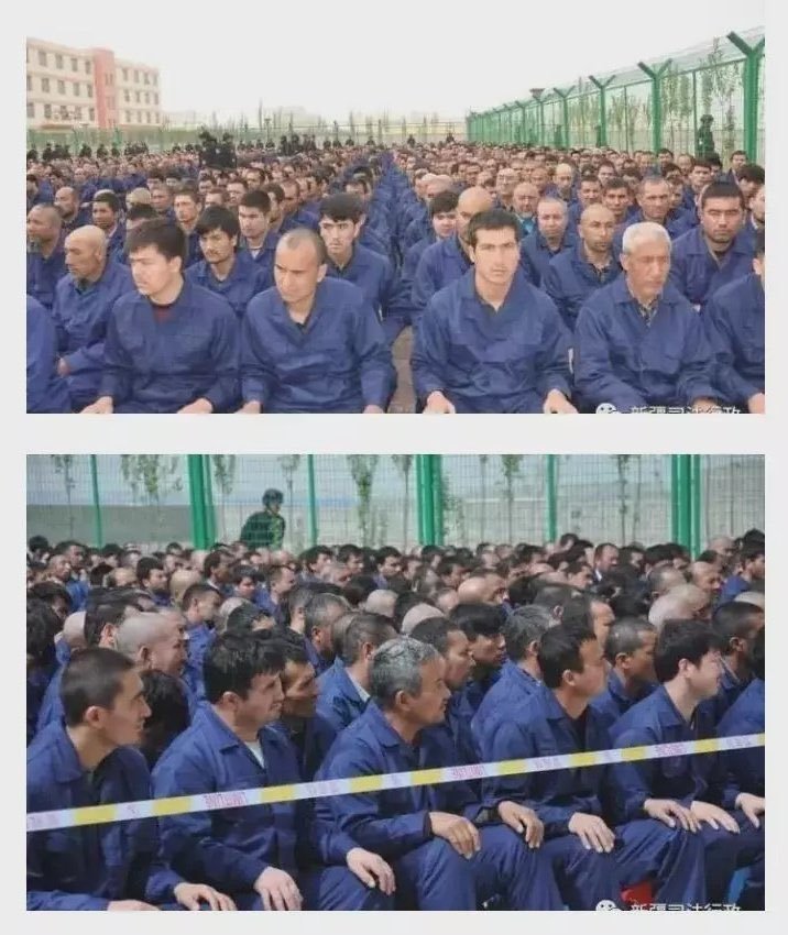 Noax_Zou's tweet photo. @orumcek_3 中国主人正在新疆美丽的再教育中心培训土耳其肥猪 https://t.co/JIBWwwYDoL