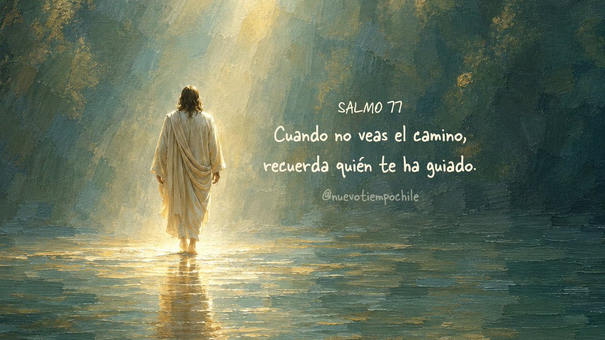 ntchile's tweet photo. Aunque hoy no veas el camino, la misma mano que te sostuvo ayer te guiará hoy. 💙
#RPSP #PrimeroDios #Salmo77
▶️ Mira el capítulo aquí: https://t.co/YlEUUIRJ4a https://t.co/ibtH6s0Ypj
