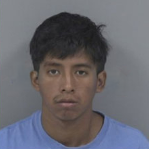 ImmigrantCrimes's tweet photo. 🚨 Wayne County, NC: Selvin Adelso Vasquez-Perez, a Guatemalan national with an immigration detainer hold, was sentenced last week to 24-days for causing the pedestrian death of 76-year-old Virginia Tucker Lyon.

He was credited for 24-days for time already served pre-trial.

Vasquez-Perez hit Lyon in a crosswalk while driving without a license in September. He had previously been cited for driving without a license in 2025 in Wake County.