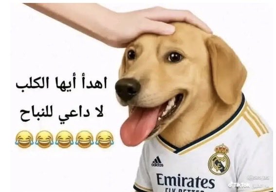 0jd0p's tweet photo. @dubaiooa @totsaudi96 الرخيص انت وحكامكم يا الاحماراتيين ذا رمزكم 🫏علشان كذا تحطونه بكل تعليق عندنا كلاب وحمير
ههههههههههههههههههه مشكله  هب ضعفه وانبح بعيد https://t.co/aqZKbdxL3F