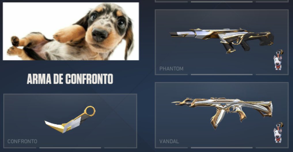 thataivlr's tweet photo. aprovam esse kit?? https://t.co/QW9mMjFdd8
