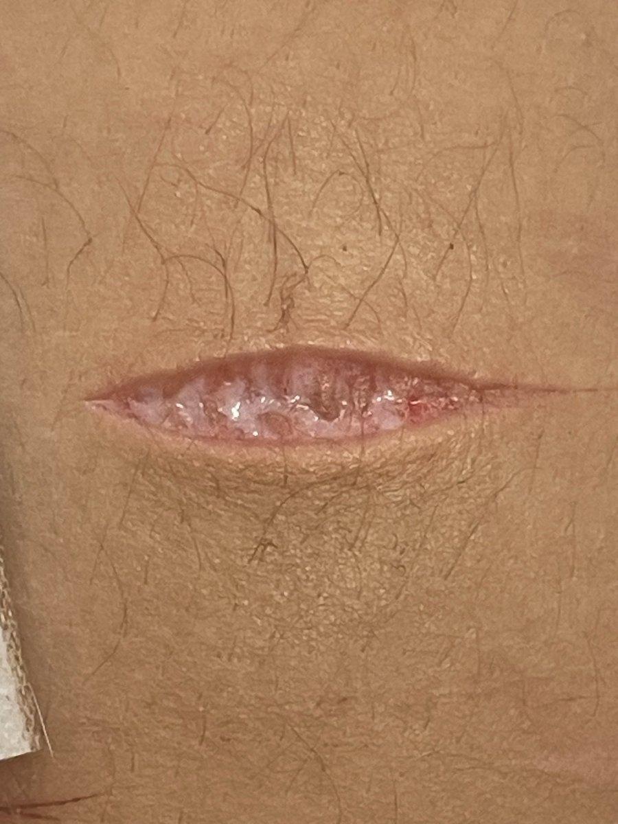 sinfulcyber420's tweet photo. Nvm u don’t have to dm me i wanna show this off https://t.co/lrLSfrmvjg