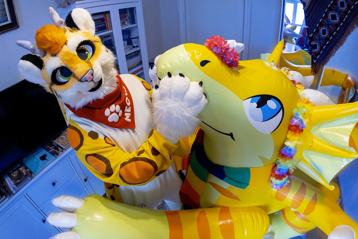 AvikFurry's tweet photo. I like this super cute cat @kibalton ! 
#furry #inflatable #pooltoy #Cheese #dragon @MythAnimalCreat https://t.co/l8nohW4mCJ