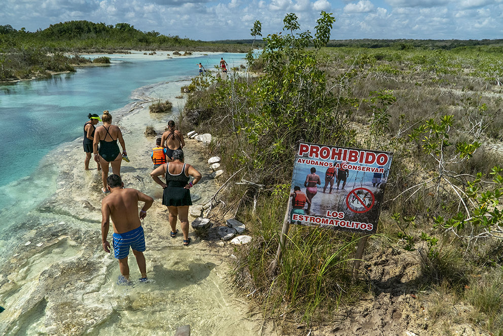 Charr0Mx's tweet photo. Adivinen quienes andan enojados porque @PROFEPA_Mx clausuró  LOS RÁPIDOS en Bacalar ?

Exacto, los hambrientalistas locales que estaban en contra del tren maya. No que muy ecologistas? Los rápidos es un santuario de estromatolitos que ha sido dañado por el turismo https://t.co/cbEDjLYlWS
