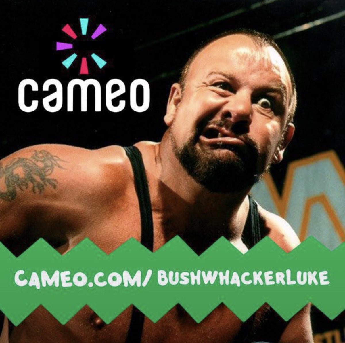 BushwhackerLuke's tweet photo. No matter what the occasion is, I’ve got you covered on Cameo, mateys!

Order today:
https://t.co/UBTAjBlj22 https://t.co/fkTPJOiAz4