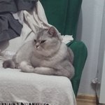 Photo by Call me Elliott (@ihavenothintho)