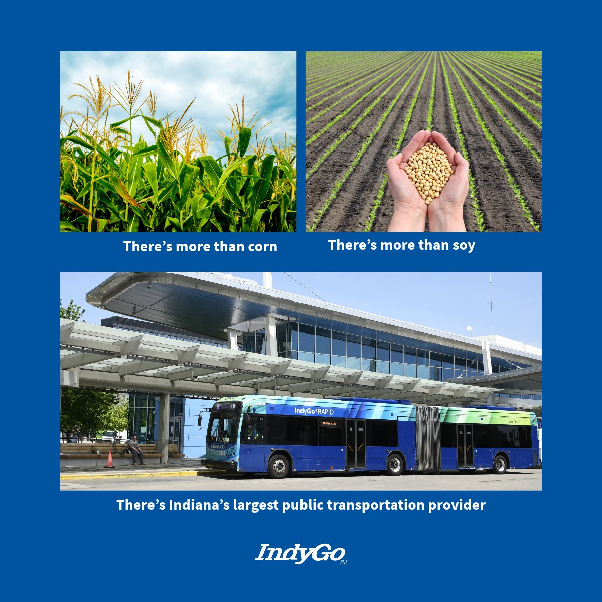 IndyGoBus's tweet photo. Whether you ride a tractor or a bus, we’re in this together. Welcome back to Indy, @NationalFFA. 🌽 https://t.co/clWR85JKgk