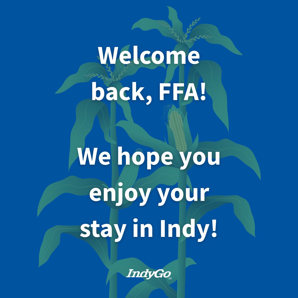 IndyGoBus's tweet photo. Whether you ride a tractor or a bus, we’re in this together. Welcome back to Indy, @NationalFFA. 🌽 https://t.co/clWR85JKgk