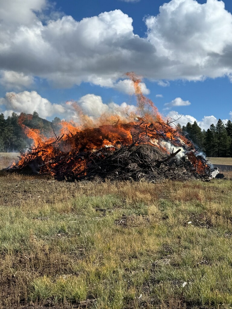 KaibabNF's tweet photo. Ignitions completed on the Williams Ranger District at the green waste pit on Forest Road 900 in the Pittman Valley today. Smoke will remain light in the area  until it's either done burning or rainfall extinguishes it. https://t.co/XM1BjXyLSm