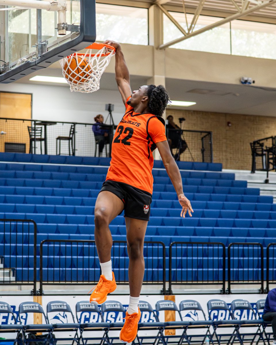 BearkatsMBB's tweet photo. Scrimmage scenes vs. ACU

#EatEmUpKats | #BePartOfIt https://t.co/MocvyrRXSv