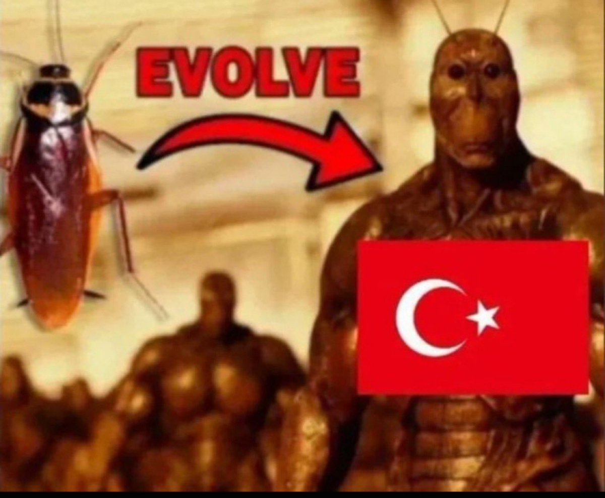 GeoIntelDaily1's tweet photo. @posttmodern Evolution of 🇹🇷🤣🤣 https://t.co/634mfdIpuV
