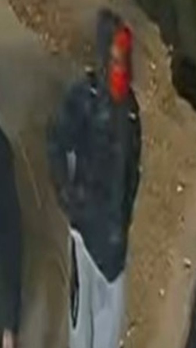 NYPDTips's tweet photo. 🚨WANTED FOR A ROBBERY: On Sunday, October 18, 2026, at approximately 9:45 P.M., in the vicinity of West 93 Street and West Drive in the confines of the Central Park Precinct, a 32-year-old female victim was approached by three unidentified individuals who surrounded her and struck her in the head multiple times before removing her bag, which contained her watch and headphones. The individuals then fled on foot westbound toward Columbus Avenue. 

Anyone with information regarding this incident is asked to call the NYPD's Crime Stoppers Hotline at 1-800-577-TIPS (8477) or, for Spanish, 1-888-57-PISTA (74782). The public can also submit their tips by logging onto the Crime Stoppers website at https://t.co/2PvTmQgxad, or on X @NYPDTips.