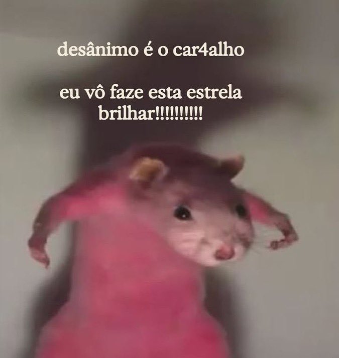 propagulohenri's tweet photo. #LulaEmPetrolina https://t.co/IRoZ4drfWo https://t.co/DaW0CHtIE5