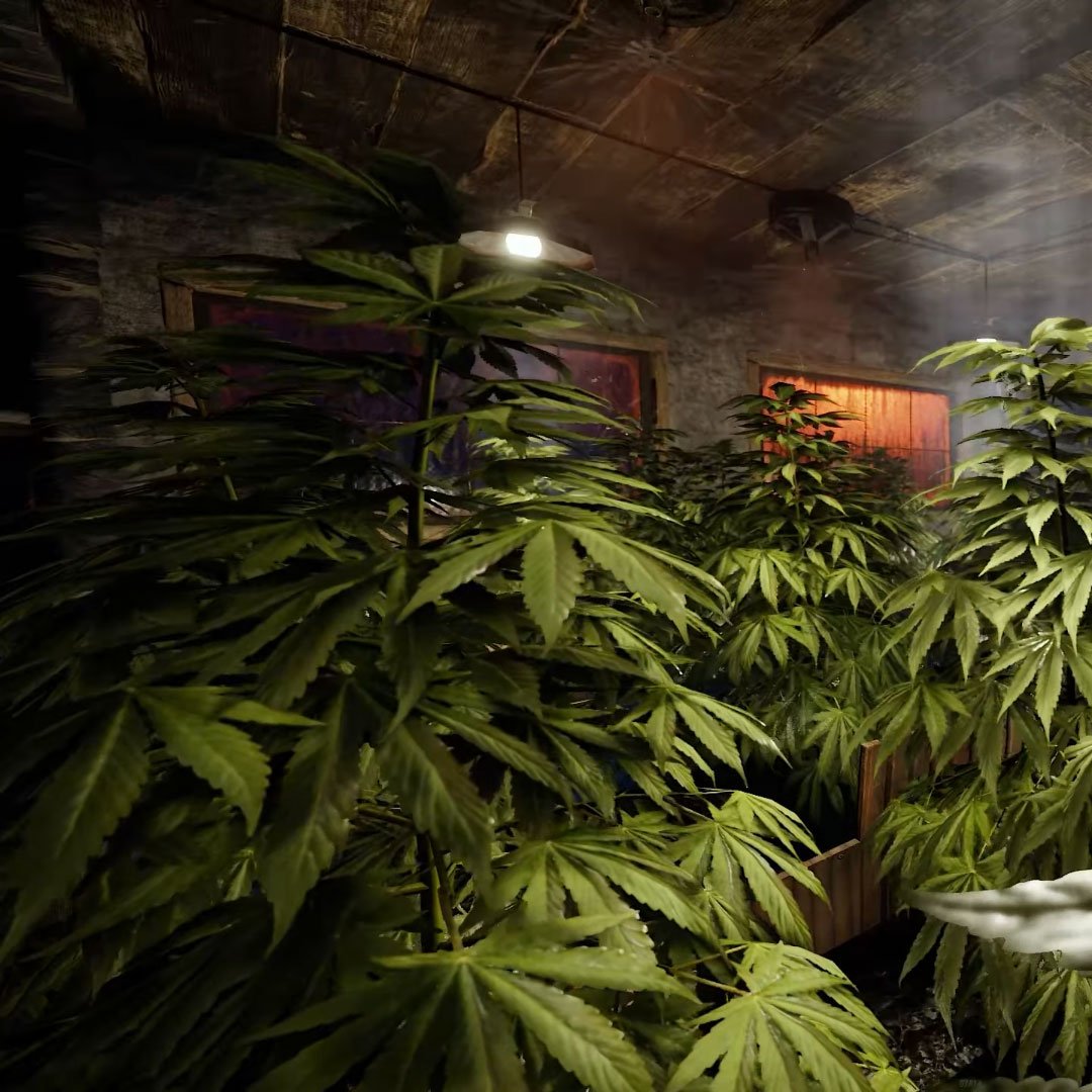 RustylootGG's tweet photo. Did you know that a single sheep in Rust can produce almost 1,000 cloth PER HOUR if you recycle their wool?

Are industrial hemp farms no longer the meta? https://t.co/EA4mSJ6LGQ