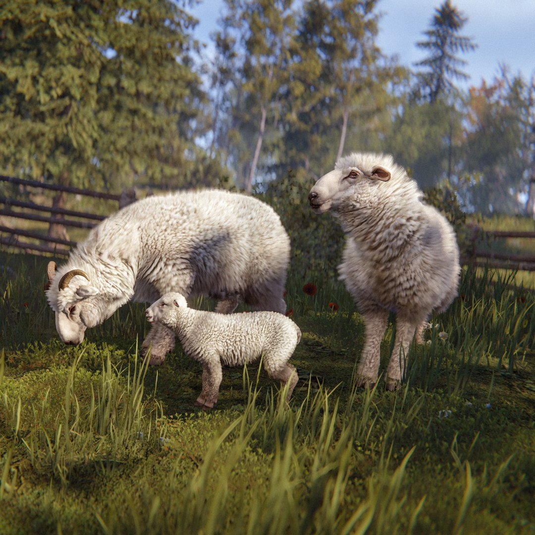 RustylootGG's tweet photo. Did you know that a single sheep in Rust can produce almost 1,000 cloth PER HOUR if you recycle their wool?

Are industrial hemp farms no longer the meta? https://t.co/EA4mSJ6LGQ
