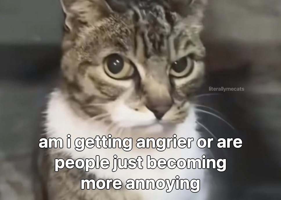 literallymecats's tweet photo. https://t.co/abyqOa0IRh