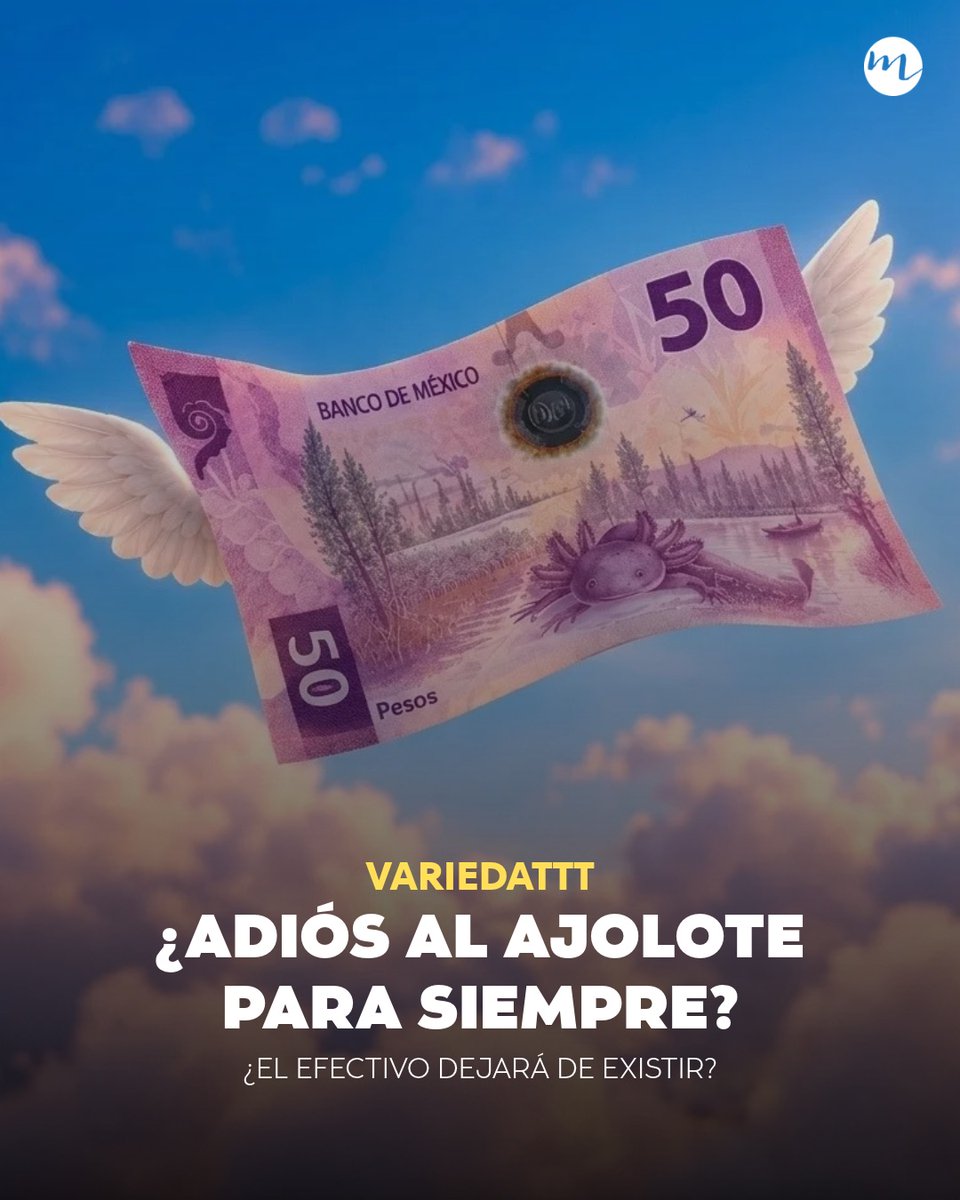revistamoi's tweet photo. 👉https://t.co/p01LLjewKD
¿Será momento de despedirnos del efectivo? Esto es lo que tienes que saber sobre la nueva Ley de Economía Digital. https://t.co/TbvOcrTSY5