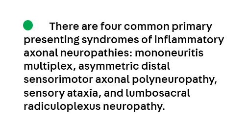 ContinuumAAN's tweet photo. Key Point 1 from the article "Inflammatory and Autoimmune Axonal Neuropathies" by Dr. Qihua Fan, MD and Dr. Vinay Chaudhry, MD, FAAN, from the October #PeripheralNerve and Motor Neuron Disorders issue, which is available to all at https://t.co/WB5ZRIZuth
#NeurologyEd #NeuroX https://t.co/JN5b3kD7m4