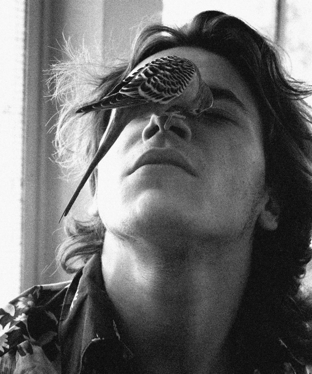 Mas97646Masia's tweet photo. River Phoenix photographed by Michael Tighe at his residence in Florida, 1988. https://t.co/NLp6Q9gEom