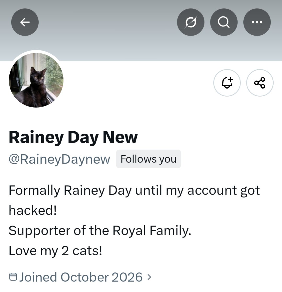 PinocchPrincess's tweet photo. Rainey Day has had her normal account hacked, so please connect with her on her new one here: 
@RaineyDaynew https://t.co/EV0ZLgpn4U