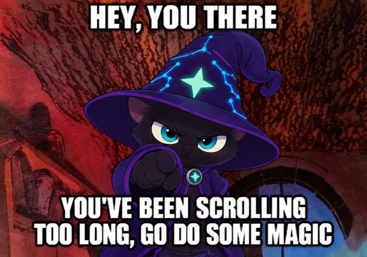 notrandomcat tweet picture