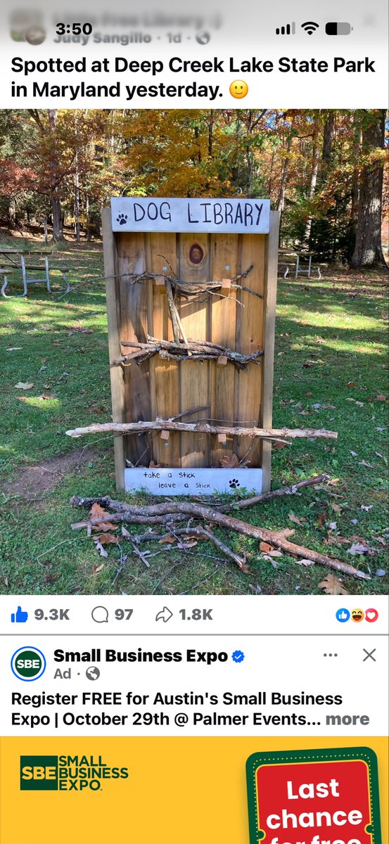 TheWhipWoman77's tweet photo. Dogs need libraries too!!! 🐾🐾🐾🐾🐾🐾🐾🐾🐾🐾🐕‍🦺🐕‍🦺🐕‍🦺🪽🪽🍀🍀🍀 https://t.co/NwDRrRqhzj