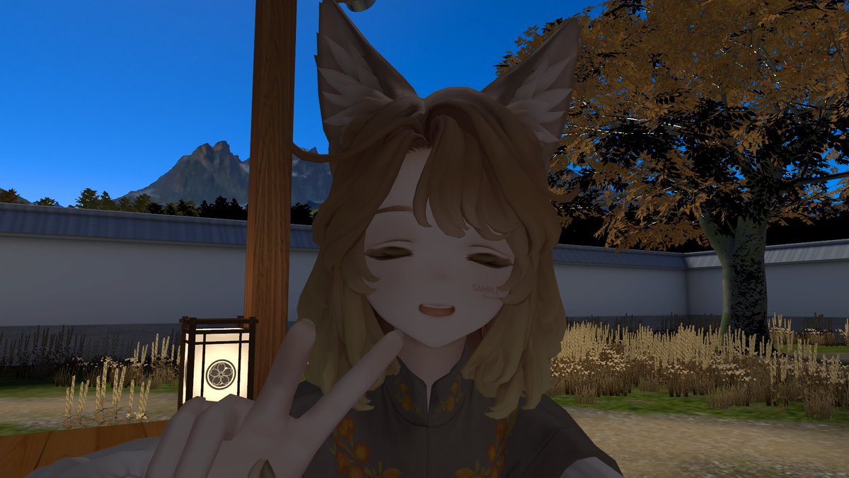 amesuke0256's tweet photo. 昨日も楽しゅうございました https://t.co/i843onhLQO