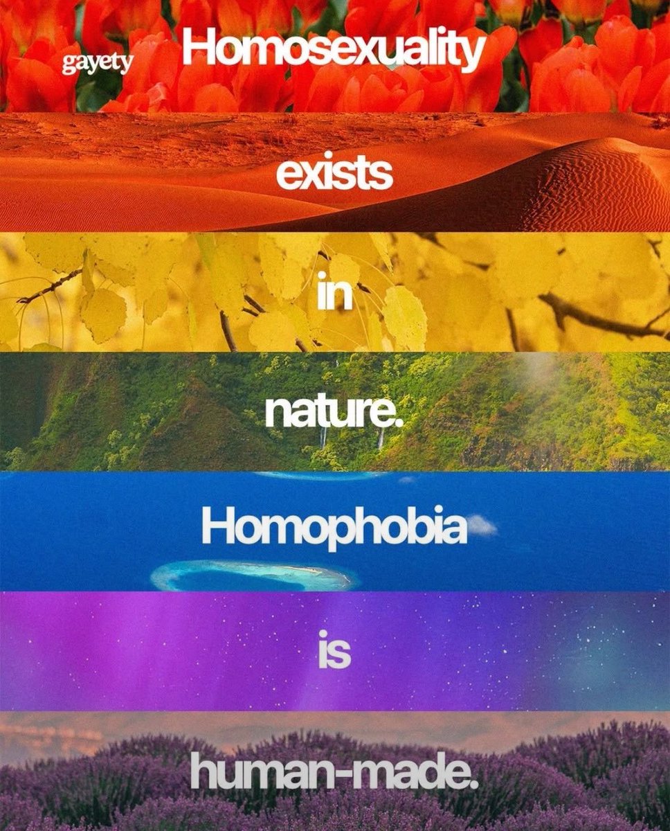 evetbenfeminist's tweet photo. homosexuality 
exists
in
nature 
homophobia
is
human-made. https://t.co/pXlt8af3sw
