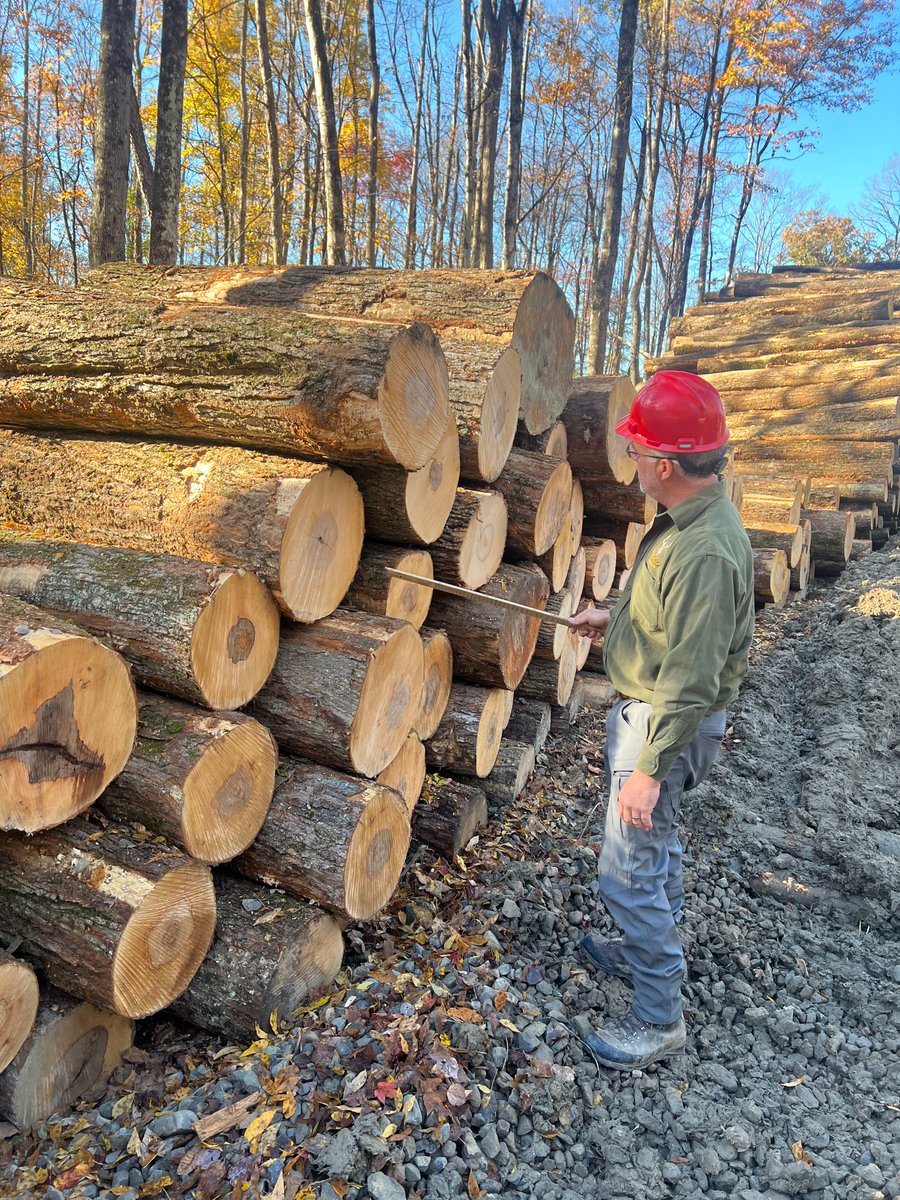 BaillieLumber's tweet photo. We understand our success starts in the woods.  Helping landowners meet their forest management objectives is where that begins. https://t.co/e2Vb6UdR4g  If you are looking for help in getting the most value from your land give us a call. #thebailliegroup #forestry #timber https://t.co/rP8KD3wP69