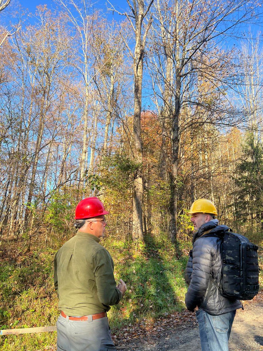 BaillieLumber's tweet photo. We understand our success starts in the woods.  Helping landowners meet their forest management objectives is where that begins. https://t.co/e2Vb6UdR4g  If you are looking for help in getting the most value from your land give us a call. #thebailliegroup #forestry #timber https://t.co/rP8KD3wP69