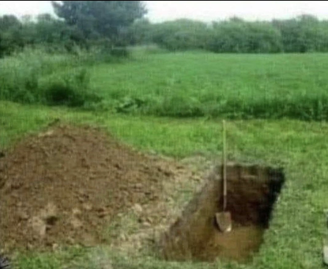PVictorcharly's tweet photo. @GWGoldnadel @franceinter Je propose un stage de jardinage. https://t.co/IG95lcCTJp