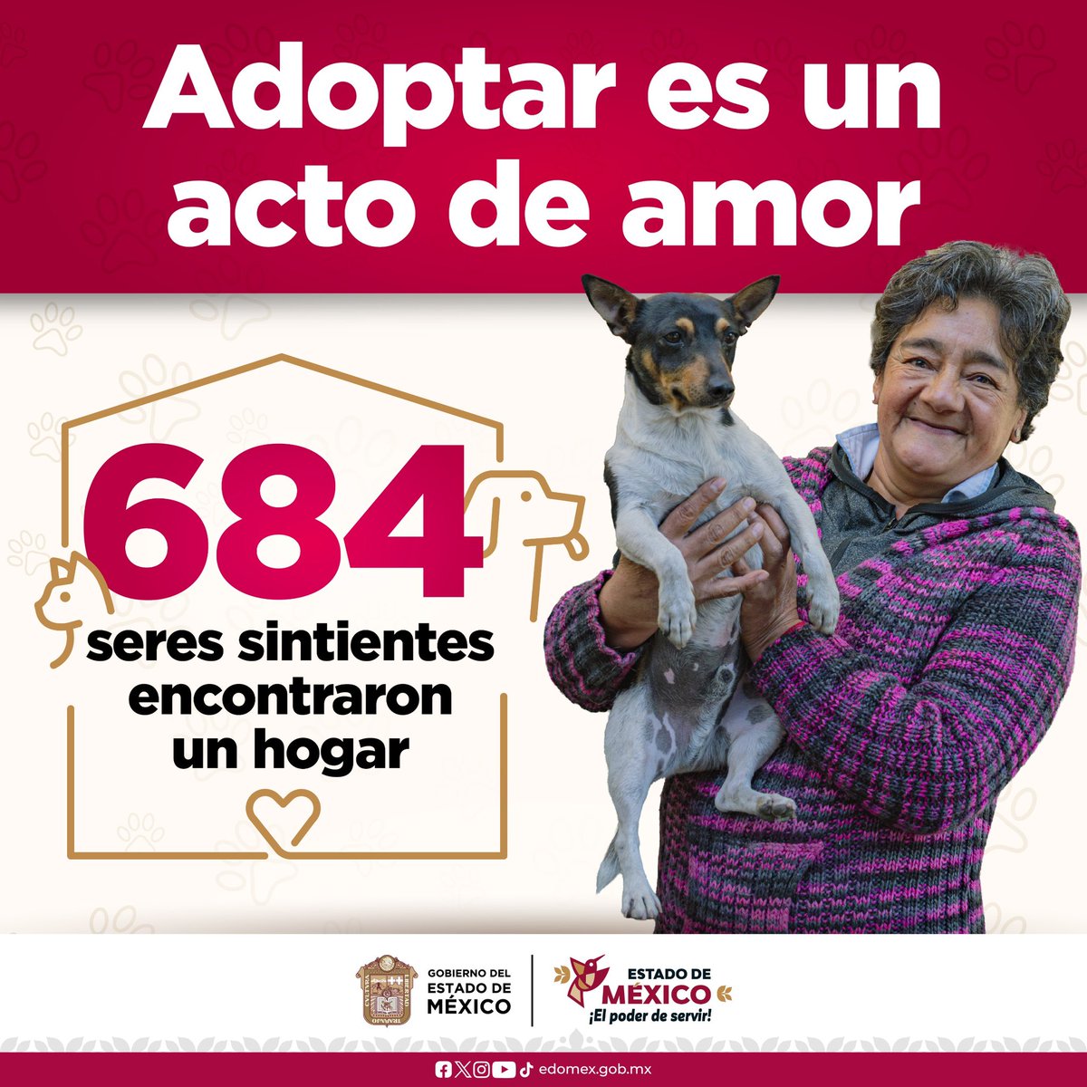 delfinagomeza's tweet photo. Mediante las jornadas de adopción, los Centros de Bienestar Animal y la campaña #LaMejorJugadaEsAdoptar, en el último año lomitos y michis han encontrado una familia que les brinde el amor y cuidado que merecen.
¡Gracias a todas y todos quienes han dado un hogar a nuestros seres sintientes!
#ElPoderDeServir