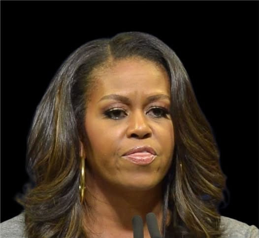 AmericaFirsst's tweet photo. Michelle Obama has called President Trump an "animal" on at least a dozen occasions.

She's also referred to him as a "jackass," a "war pig," and an "orange orangutan."

Suddenly, a silly Lion King video doesn't seem so bad, does it?

What's your response to this......??👀

MAKE THIS GO VIRAL ON X. LET’S GO 👏