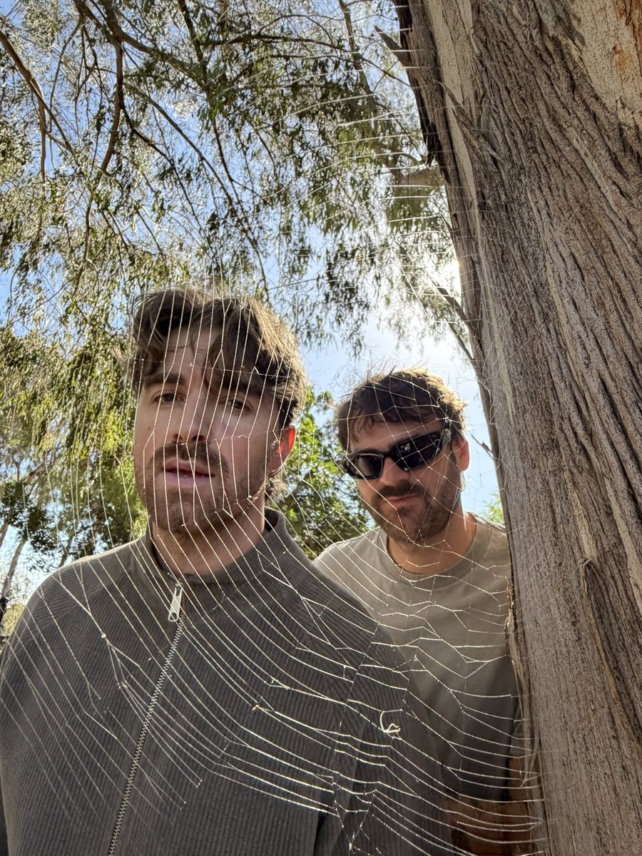 TheChainsmokers's tweet photo. Life imitating art. (Took us forever to find this spider web) https://t.co/e8dIP77TYv
