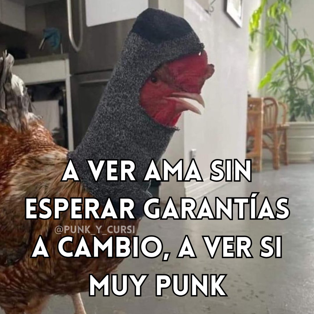 punk_y_cursi's tweet photo. Ni le saben, mis enciclopedistas del amor. https://t.co/V08xYNkoCo