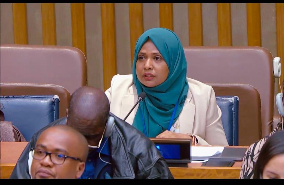 MVPMNY's tweet photo. “Preventing the use of chemical and biological weapons requires stronger international cooperation &amp; effective implementation”

At #1C, #Maldives stressed the need to strengthen verification, close gaps in  #BWC &amp; support national preparedness 

#MDVatUNGA81 https://t.co/abk8AzTVQW