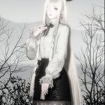 Photo by Lowy (@palowys)