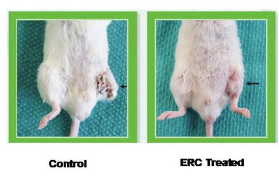 exosome tweet picture