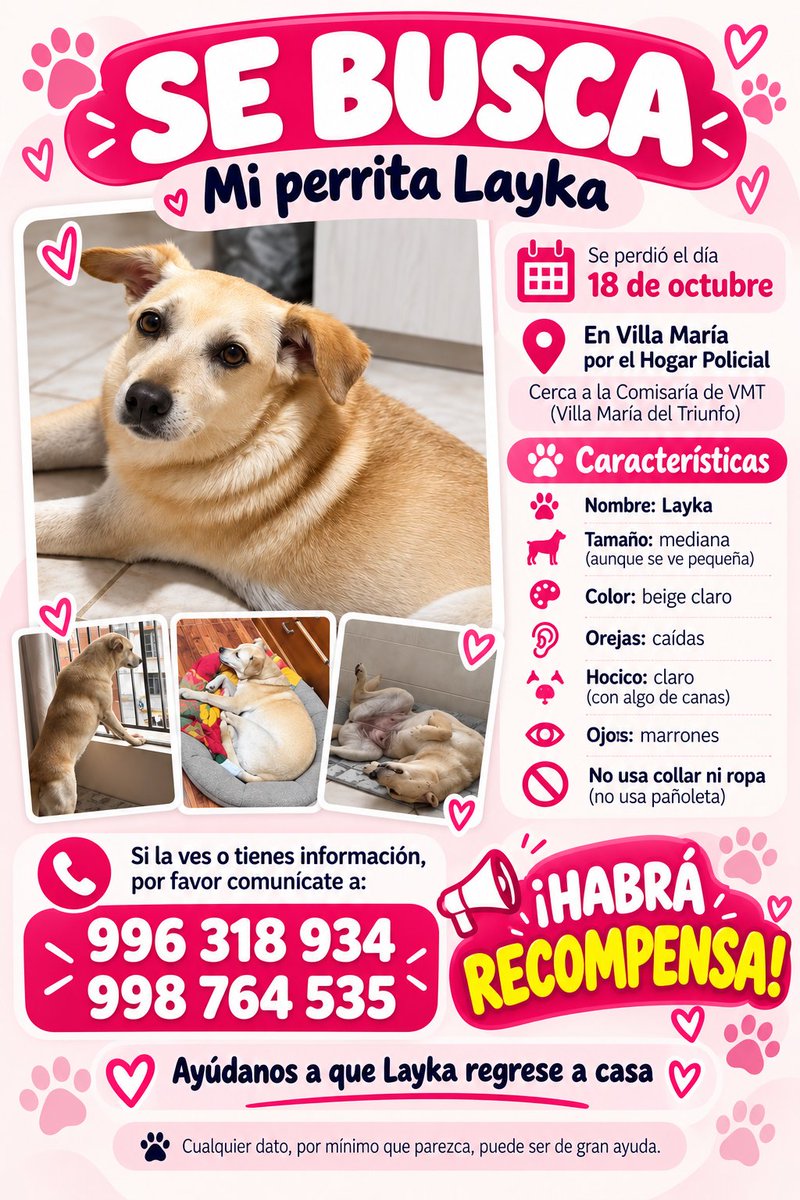 PawFindr tweet picture