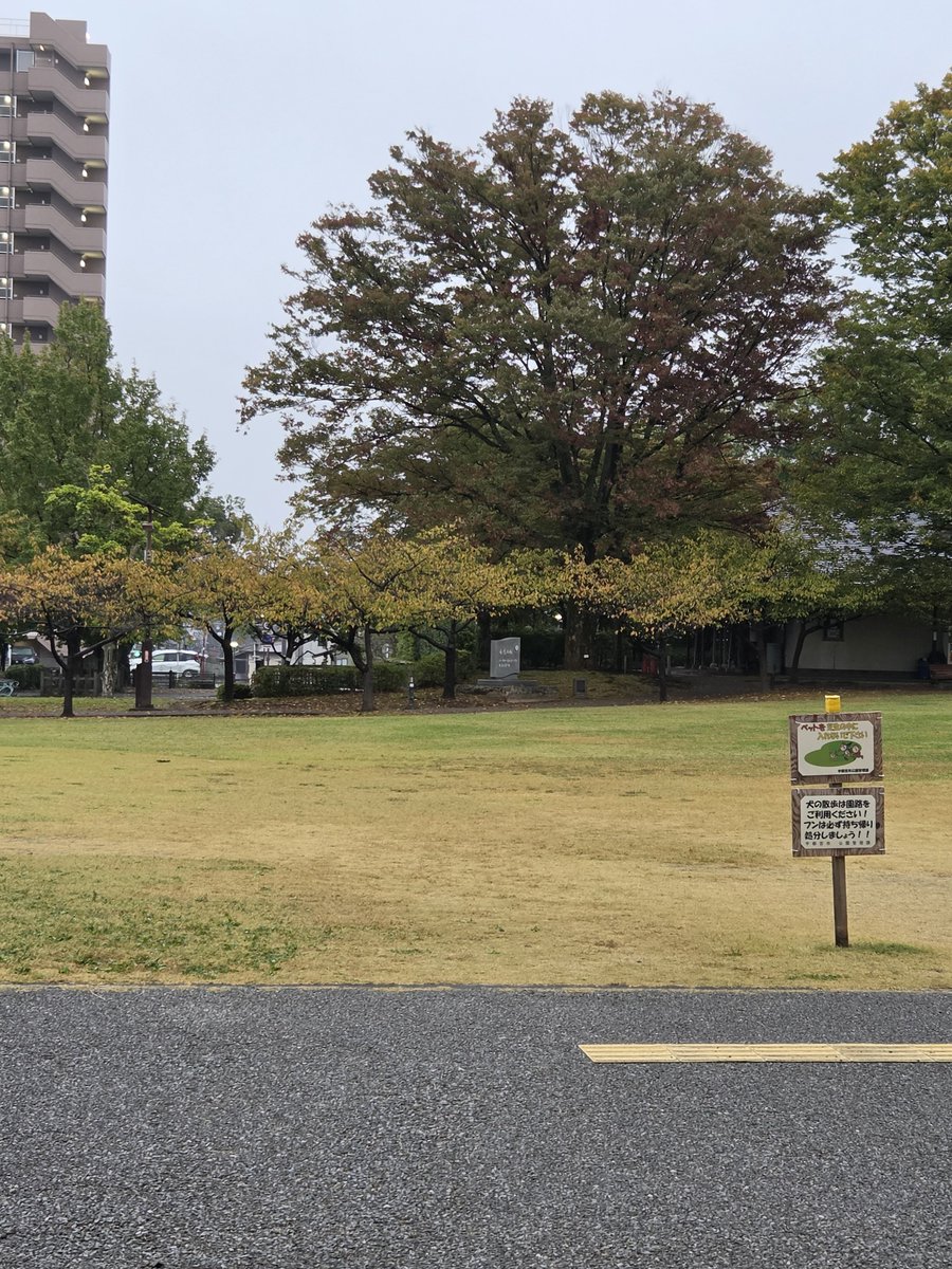 ita10m's tweet photo. 朝ラン☀️🌱ジョグ7km。誕生日です🎂そして40代になる。ここから、楽しくランニング生活送りたい🏃‍♂️いつもよりゆったりと走る😊何事も楽しまないと！ #朝ラン #推しの子 #誕生日 https://t.co/63g1nFLcqH