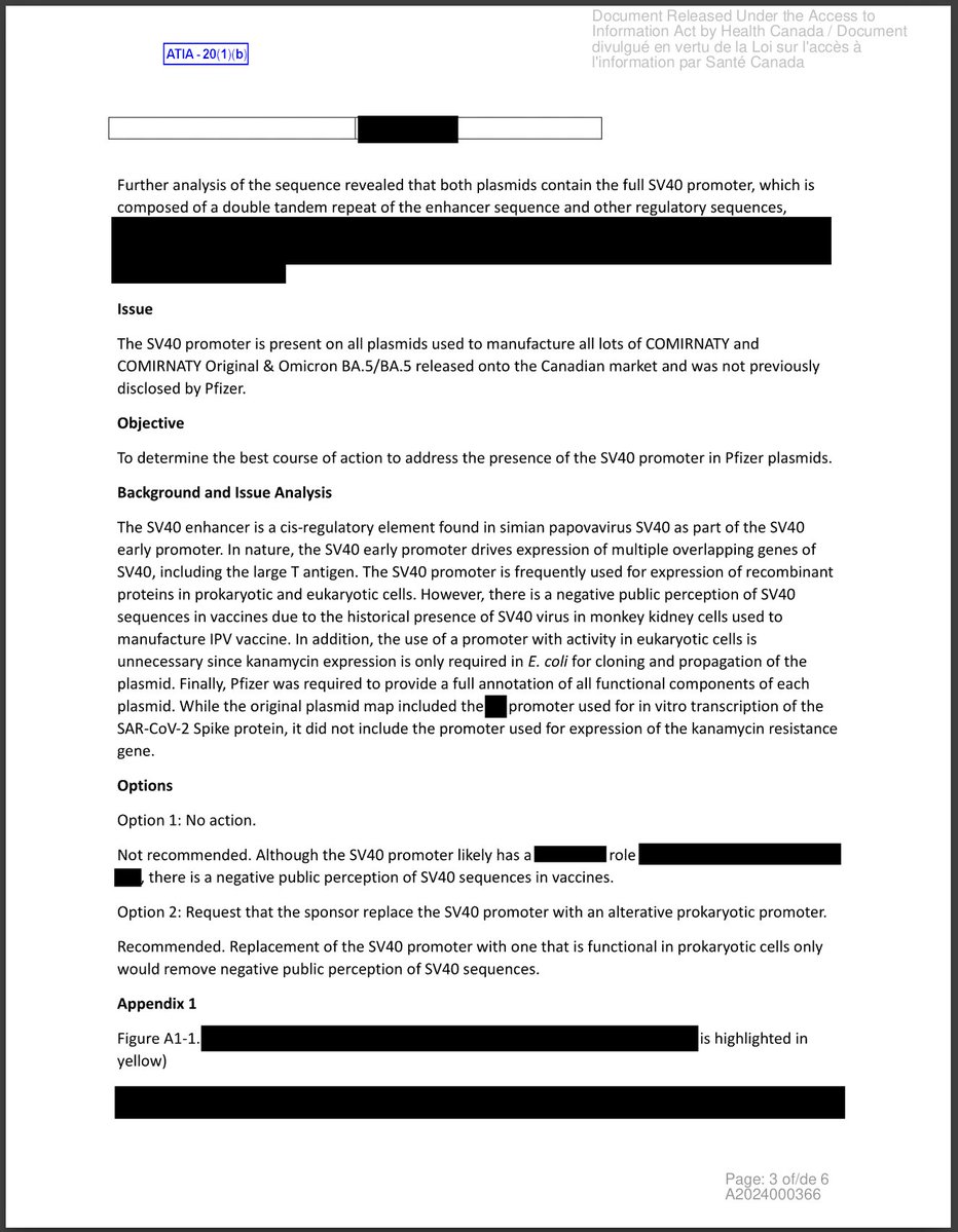 scoopsmcgoo's tweet photo. Federal Court case forces Health Canada to hand over its secret review of undeclared SV40 DNA in Pfizer's COVID shots https://t.co/e5sTzEa469