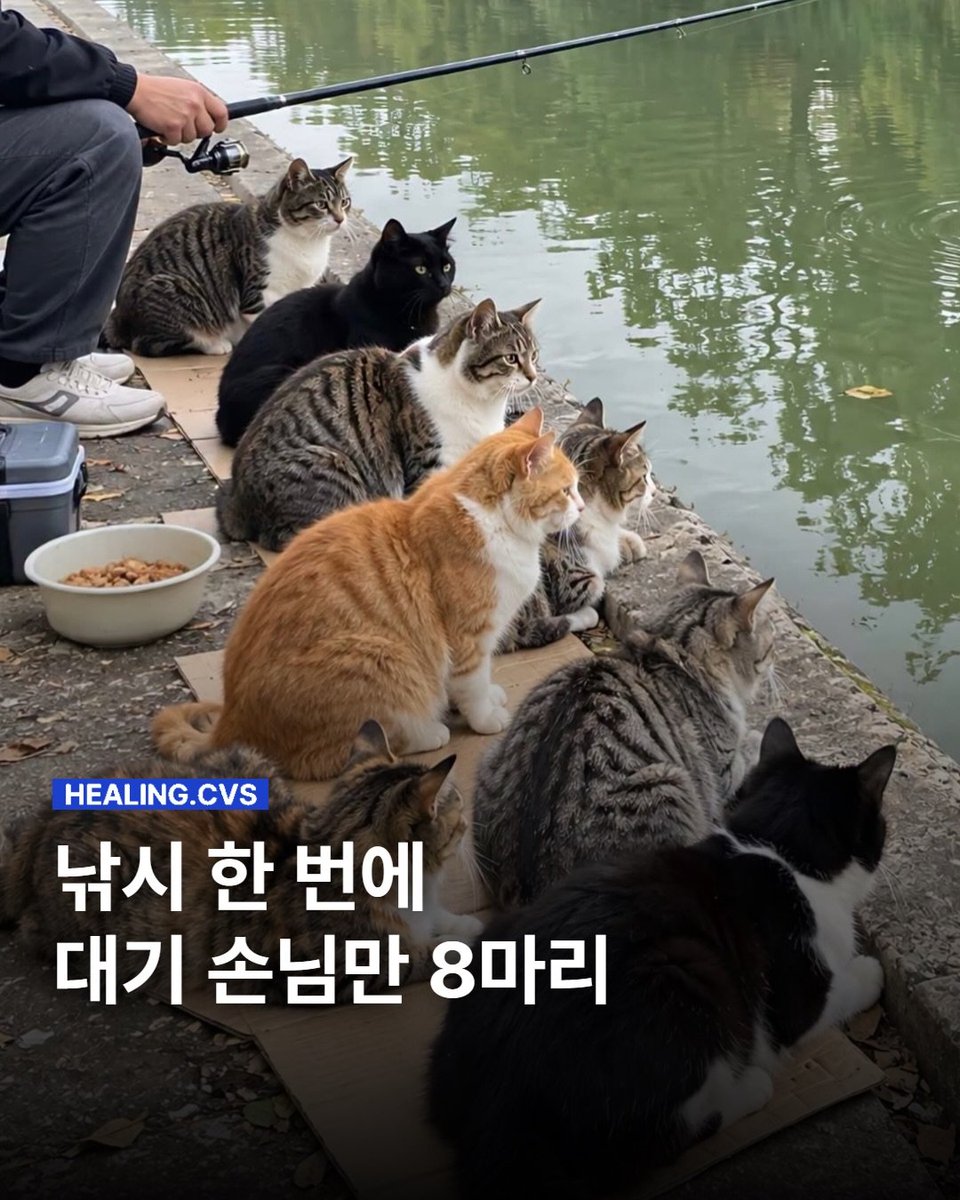 hyedn8131's tweet photo. 하나만 잡혀라~~~!!!
낚시꾼은 한명인데 먹을 입은 너무 많아🤣 https://t.co/KUwsMvk3ax