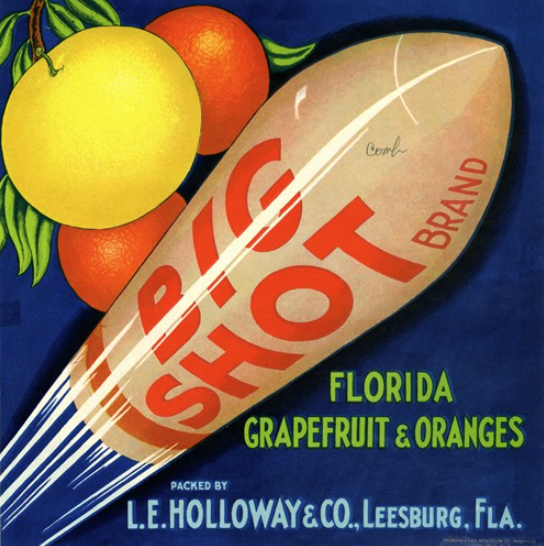 FLSecofState's tweet photo. October is the beginning of citrus season in Florida, as oranges, mandarins, and tangerines all ripen between October and June. 

Citrus, particularly the orange, is emblematic of Florida, serving as the state’s fruit, flower, and beverage, @OJfromFlorida. 

To learn more about the Sunshine State’s history with citrus, explore the @MuseumFLHistory’s ‘Florida Citrus Crate Label Collection', https://t.co/TDVRltlgb8.